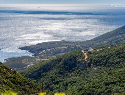 Φύση & Δραστηριότητες: Εξερευνώντας την άγρια πλευρά