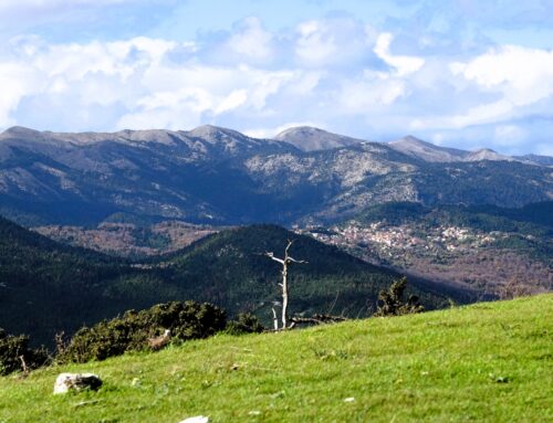 Πάρνωνας: Τα πέτρινα χωριά και η φύση